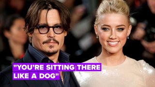 Johnny Depp compares Amber Heard to a 'dog' on his new album