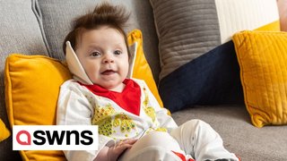 Meet the tot whose crazy hair often stops strangers in the street and is often compared to Elvis Presley's iconic quiff