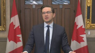 We need to know what this money was for': Poilievre calls for probe of McKinsey contracts