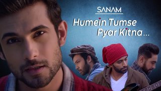 Humein Tumse Pyar Kitna | Cover | Sanam