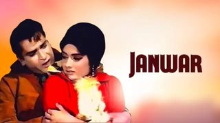 Janwar (1965)
