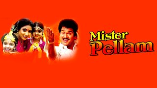 Mister Pellam (1993)