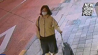 Surveillance video shows South Korean women who allegedly killed 'out of curiosity'