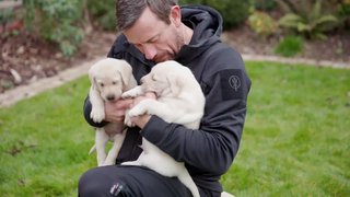 Puppies given guide dog training - by the SAS