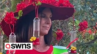 Family throw party with extravagant outfits to attract hummingbirds