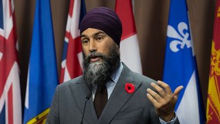 Liberals 'have lost their credibility' on climate change, Singh says