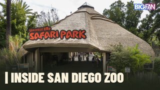 Inside San Diego Zoo