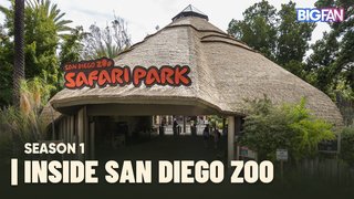 Inside San Diego Zoo | Season 1