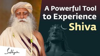 A Powerful Tool to Experience Shiva
