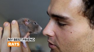'Rats deserve more of this world"